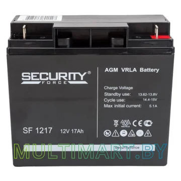Аккумулятор для ИБП Security Force SF 1217 (12В/17 А·ч)